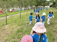 &#127795;건지유아숲체..