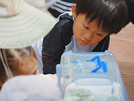 숲속물놀이&나만의 압화 ..
