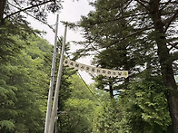 🌳신나는 대아..
