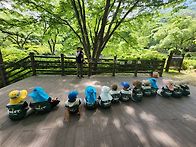 🌳대아수목원 ..