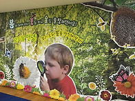 봄을 느끼는 꿀벌Ӿ