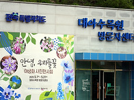 대아유아숲 -6세반