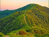 2026년 5월 정기..