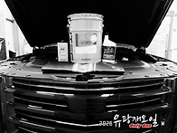 몇가지 오일 풀 체인지(캐..