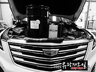 몇가지 오일 풀 체인지(캐..