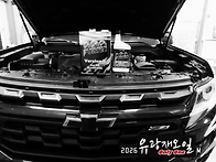 몇가지 오일 풀 체인지(쉐..