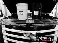 몇가지 오일 풀 체인지(캐..