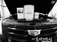 몇가지 오일 풀 체인지(캐..