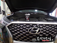 팰리세이드 디젤 ..