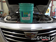 캐딜락 CT6 3.6 8단 미션..