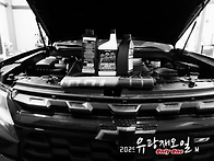 몇가지 오일 풀 체인지(쉐..