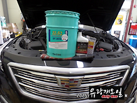 캐딜락 CT6 3.6 8단 미션..