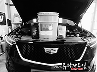 몇가지 오일 풀 체인지(캐..