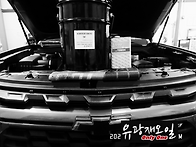 몇가지 오일 풀 체인지(쉐..