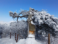 태백산 하늘이 보여준만큼..