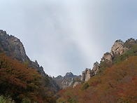 설악산 흘림골단풍 절정(..