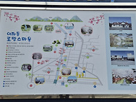 진해군항제 여좌천~경화역..