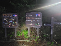 황매산무박(250509-10)