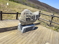 천상의 화원 곰배령 (20..