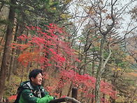오대산단풍