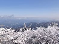 태백산 눈꽃산행(25. 12..