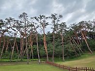 7월14일 오전 자동차검사 ..