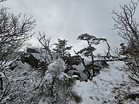 태백산의 눈꽃산행 (1)