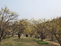 3월26~27일 금산.이천 산..