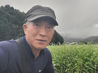 봉평메밀꽃축제-2025.09..