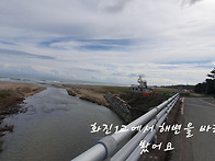 [해파랑길 제18구간] 화진..