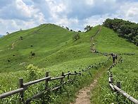 민둥산~2026.6.14 초록한..