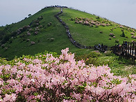 소백산철쭉제 5월24일