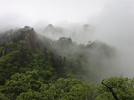 설악산 흘림골 짱!(2025..