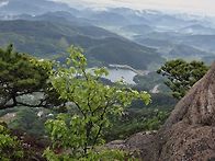 2025 05 02 황매산 철쭉산..
