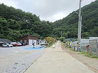 설악산 곰배령 여름 야생화..