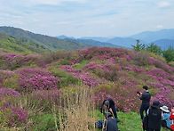 지리산바래봉(2025.5.1..