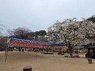 개심사.문수사.서산한우목..