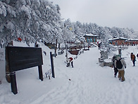 태백산 하늘이 보여준만큼..