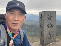 황매산 철쭉꽃 축제-202..
