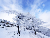 태백산 상고대 구경하세요..
