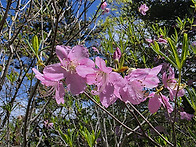 지리산 종주(1무 1박)
