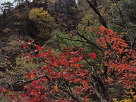 24 10 20 설악산(점봉산)..