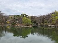 3월31일 집사람과 창경궁 ..