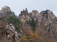 설악산 흘림골 24.10.2..