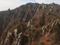 설악산 흘림골 단풍절정(..