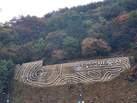 정선민둥산
