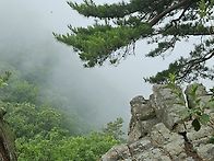 # 2026.07.05.운길산 &..