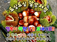 "토실토실 알밤"처럼행복이..