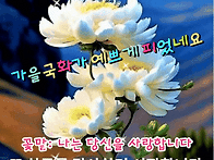 어느덧 9월 중순! "인연(..