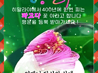 11월 축복기원! 행운의 '..